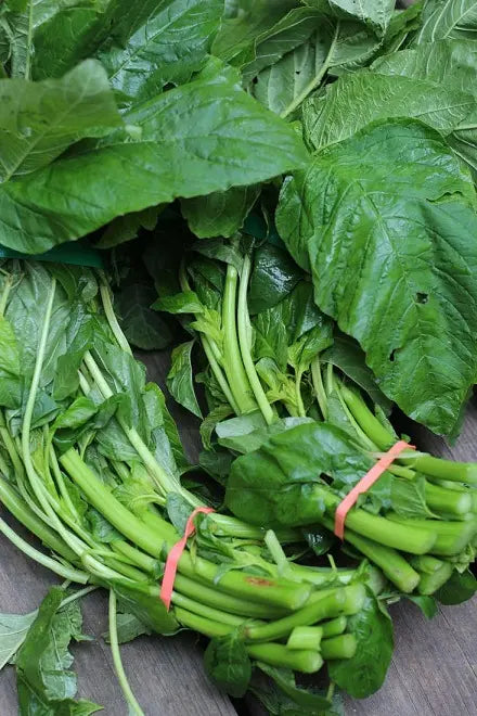 Fresh Callaloo
